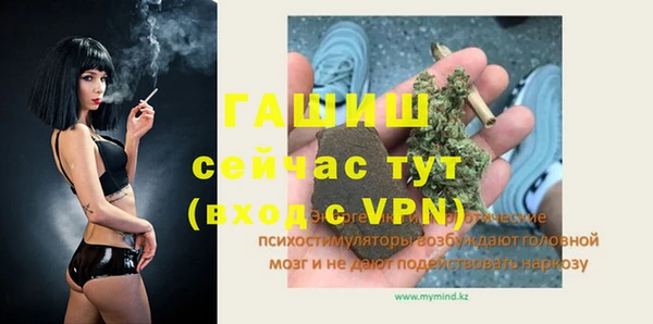 молекула духа Медвежьегорск