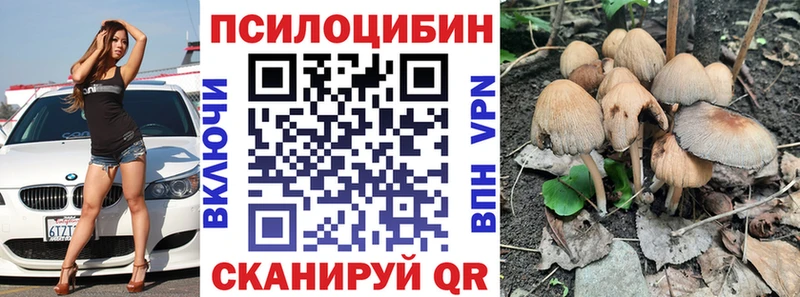 KRAKEN вход  Староминская  Псилоцибиновые грибы мицелий 
