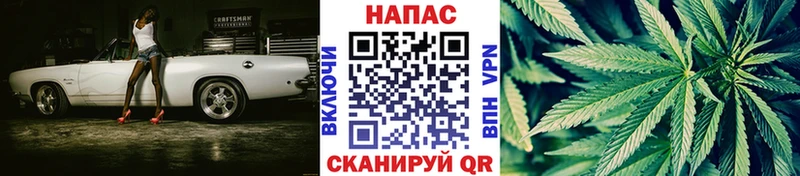 Конопля тримм Староминская